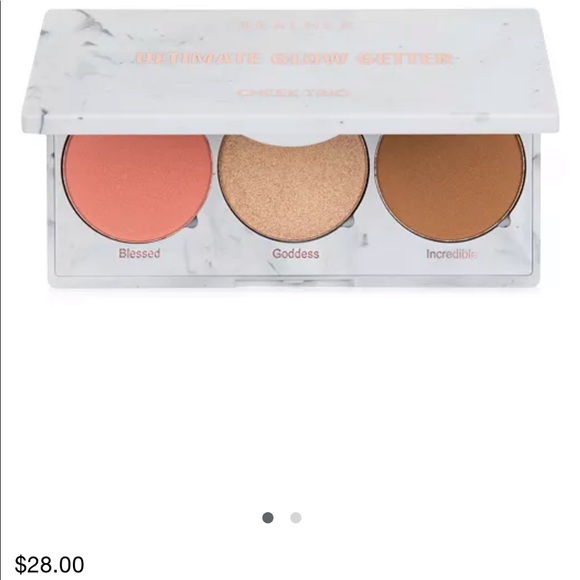 Blush,countor,brushes new - Picture 2 of 4